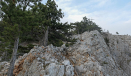 P1050603