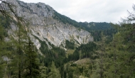 DSC07230