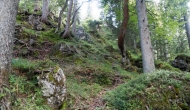 DSC07251